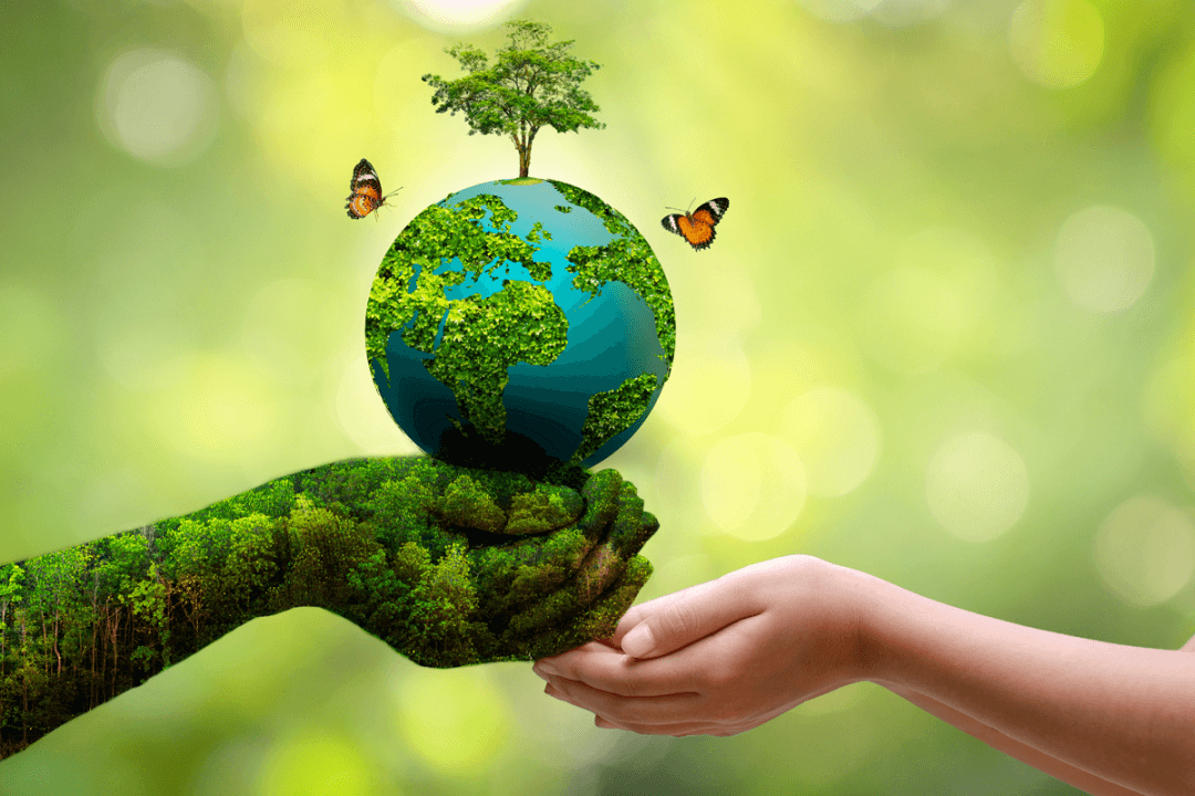 eco